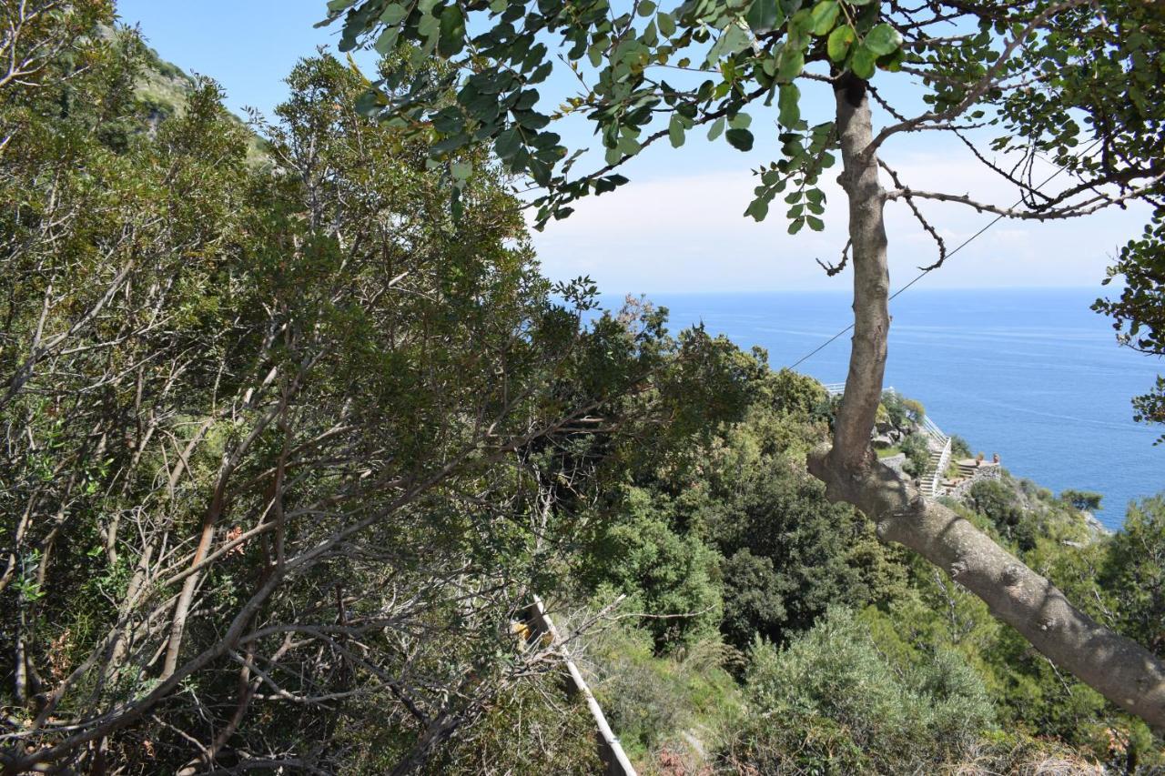La Caletta-Băile Herculane Dış mekan fotoğraf
